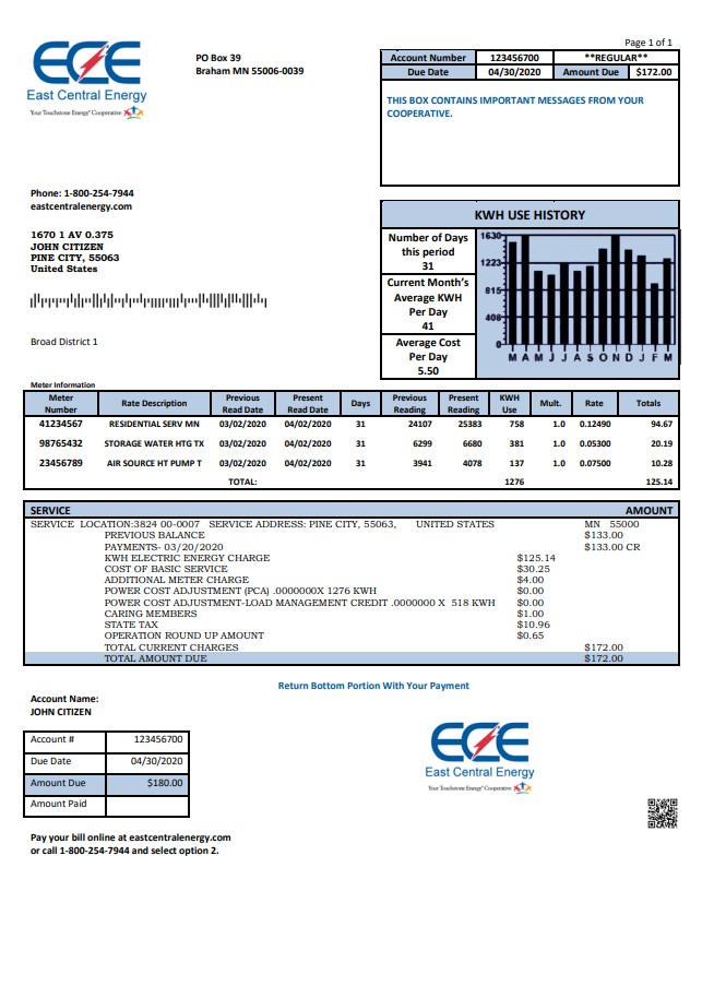 USA Minnesota East Central Energy utility bill template in Word and PDF (.doc and .pdf) format